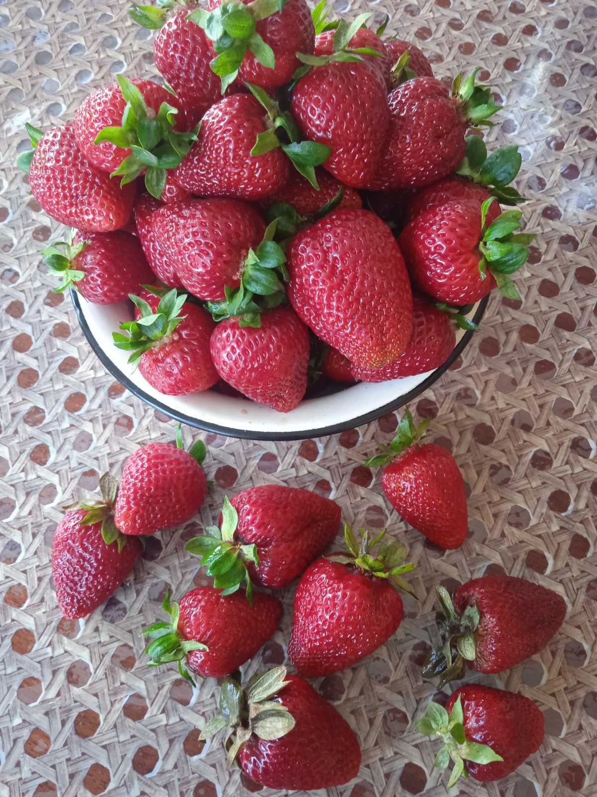 Полуниця Роксана (середньо-пізня)